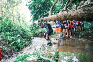 BIB: 
                            <button type="button" onclick="openModal(25472770)" class="btn btn-primary btn-sm float-right btn-popup" data-toggle="modal" data-target=".modal-high-quality">
                        <i class="fas fa-shopping-cart"></i> Add to Cart
                    </button>
                                            <button type="button" onclick="isThisMe(25472770, true)" class="btn btn-success btn-sm float-right btn-popup btn-isme hidden" data-toggle="tooltip" data-placement="bottom" title="นี่คือรูปของคุณใช่ไหม คลิกที่นี่เพื่อเอาเข้าอัลบั้ม">
                        <i class="fas fa-plus"></i> Add to album
                    </button>
                    <button type="button" onclick="isThisMe(25472770, false)" class="btn btn-warning btn-sm float-right btn-popup btn-isnotme hidden">
                        <i class="fas fa-ban"></i> Remove from album
                    </button>